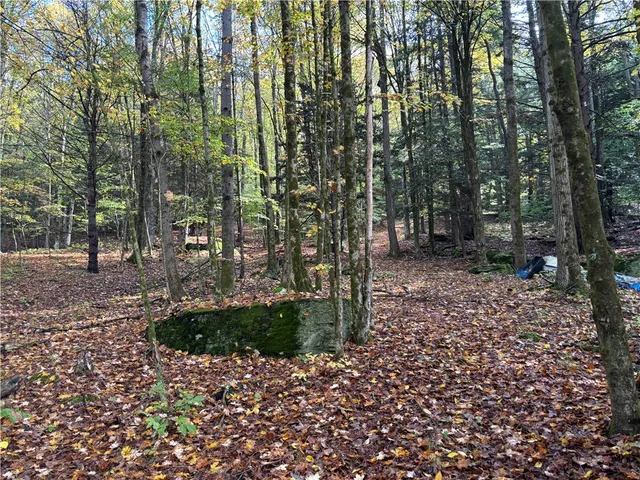 $599,000 | 440 Lower Green Street, Otego, NY 13825