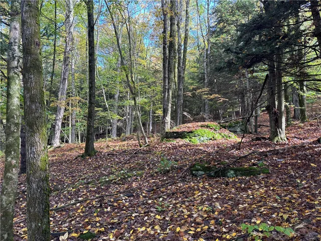 $599,000 | 440 Lower Green Street, Otego, NY 13825