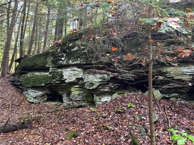 $599,000 | 440 Lower Green Street, Otego, NY 13825