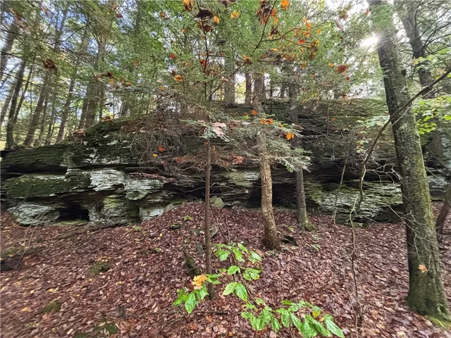 $599,000 | 440 Lower Green Street, Otego, NY 13825