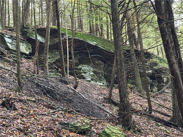 $599,000 | 440 Lower Green Street, Otego, NY 13825