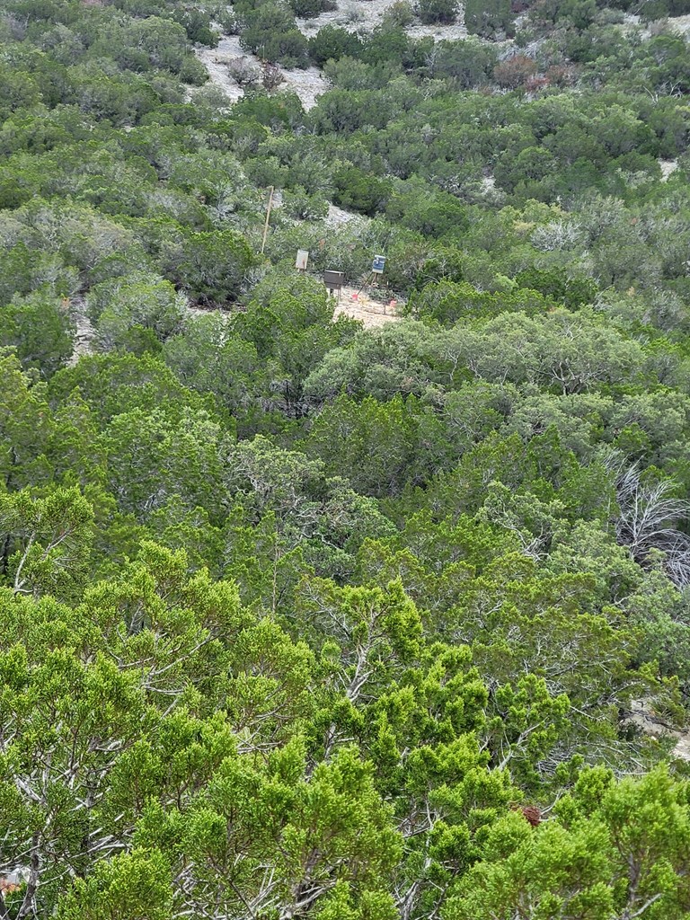 Lot 7 Southwest Fm 2523 Rocksprings, TX 78880 - Photo 3 of 19 a view of a lush green forest