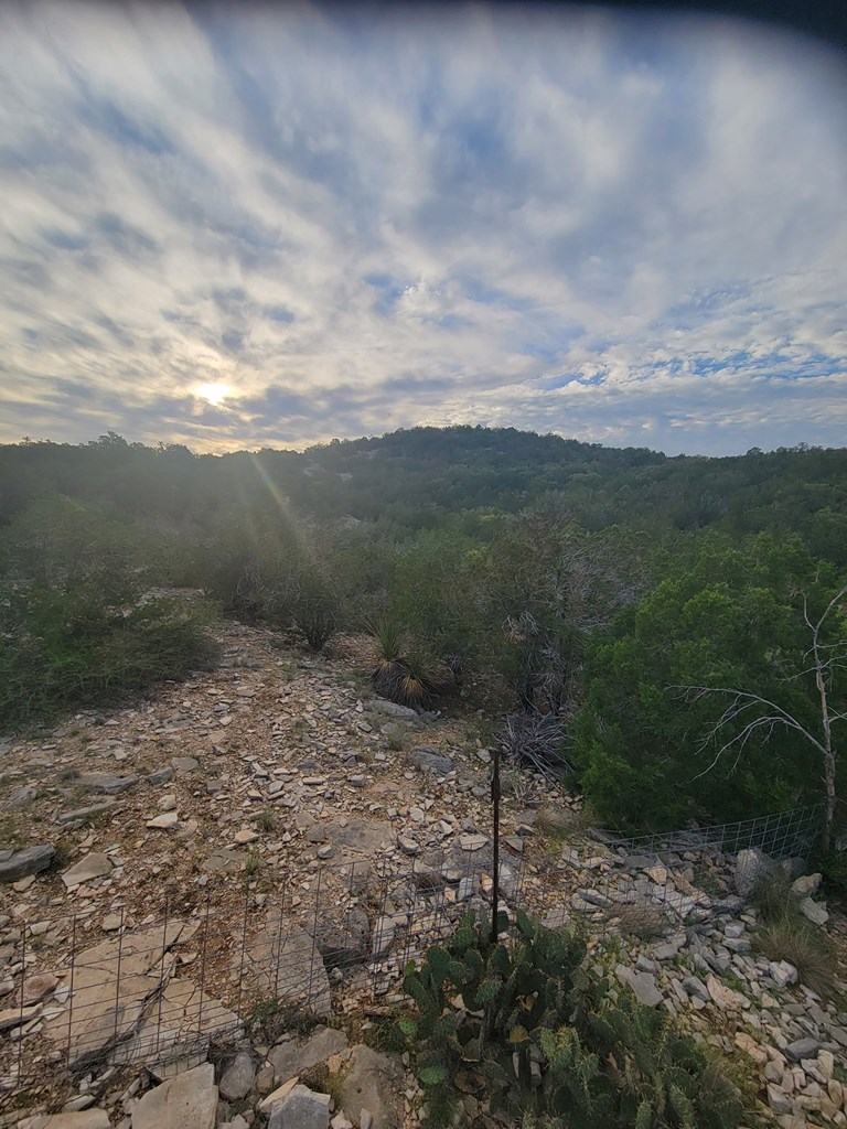 Lot 7 Southwest Fm 2523 Rocksprings, TX 78880 - Photo 4 of 19 a view of a yard with plants and a wooden fence