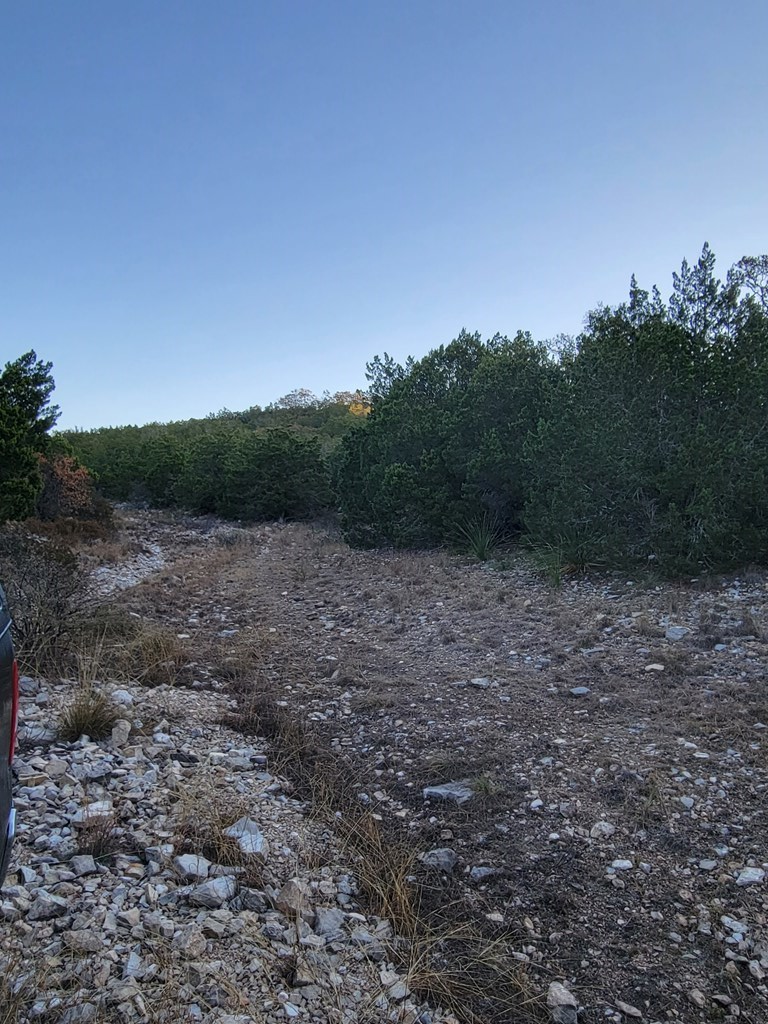 Lot 7 Southwest Fm 2523 Rocksprings, TX 78880 - Photo 6 of 19 a view of a field with trees in background