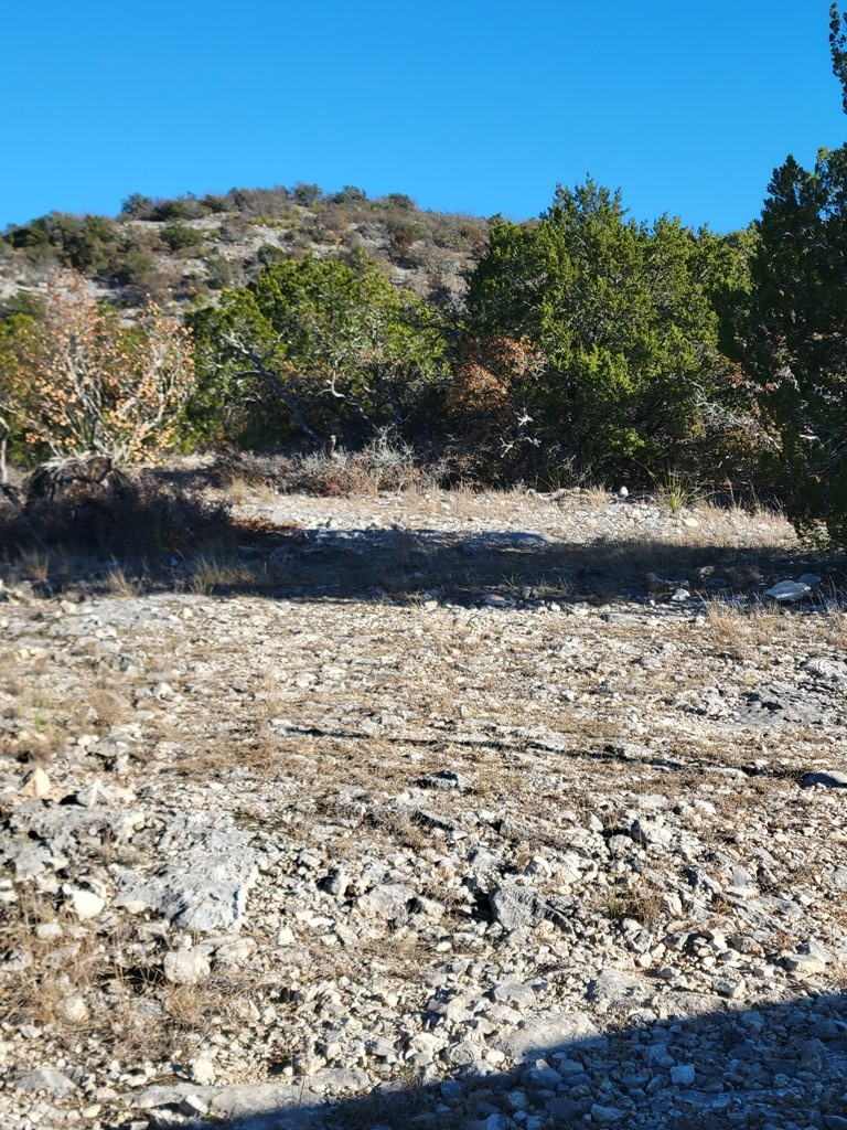 Lot 7 Southwest Fm 2523 Rocksprings, TX 78880 - Photo 7 of 19 a view of mountain with wooden floor