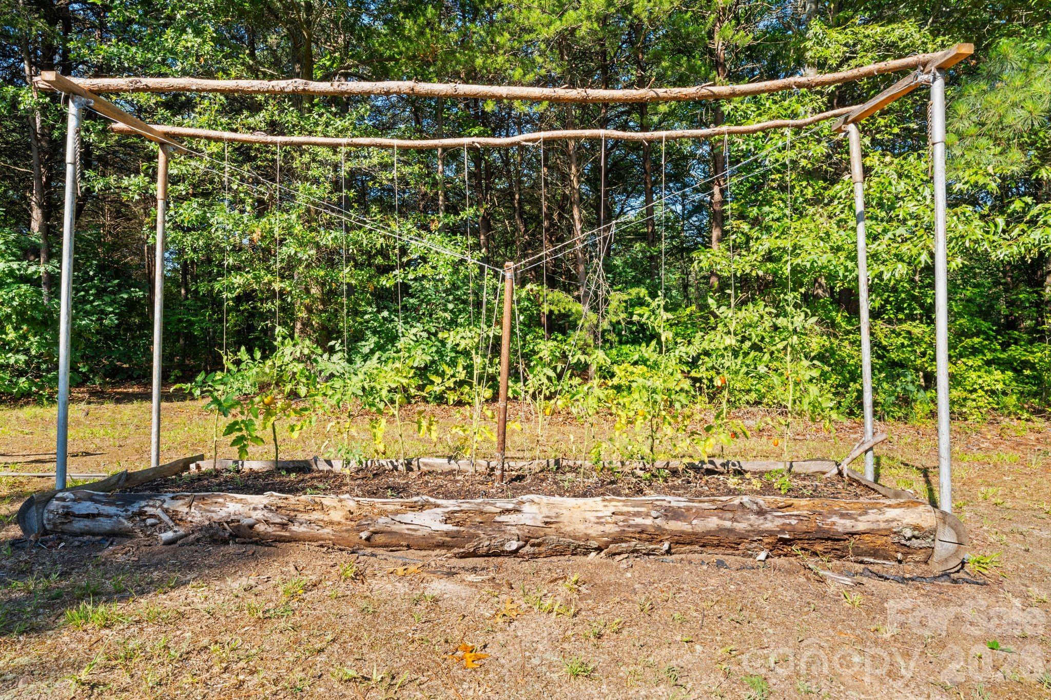 1483 Hopewell Church Road Catawba, NC 28609 - Photo 21 of 47