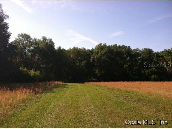 17188 Northeast 45th Avenue Road Citra, FL 32113 - Photo 1 of 1 Primary Photo