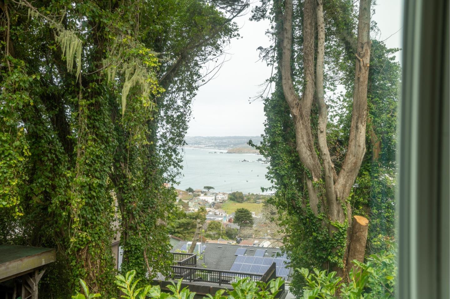424 Belfast Avenue Pacifica, CA 94044 - Photo 3 of 11 a view of a garden