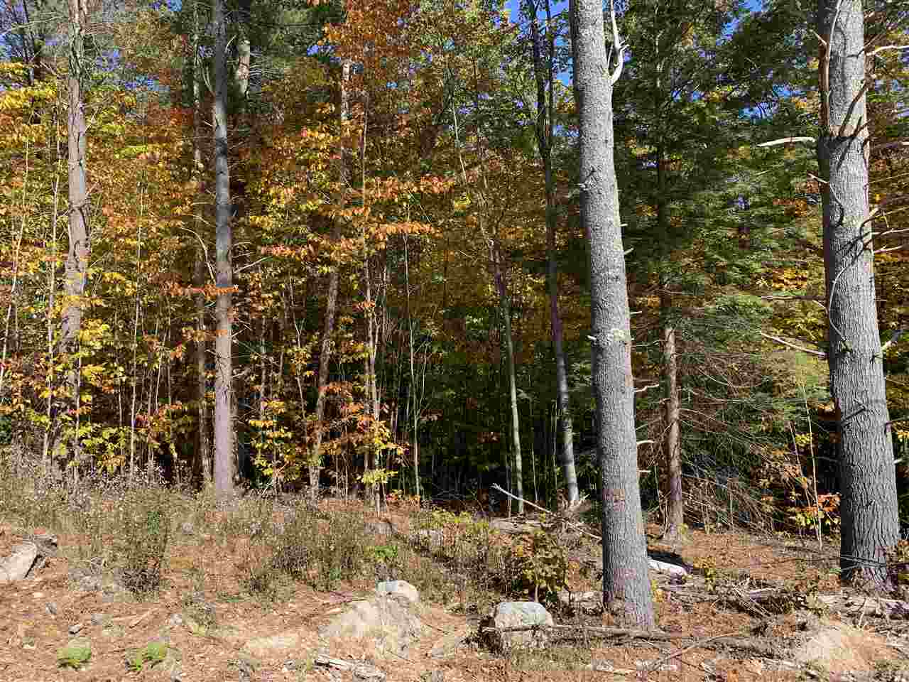 Neal Hill Road, Unit 22 Center Tuftonboro, NH 03816 - Photo 2 of 2
