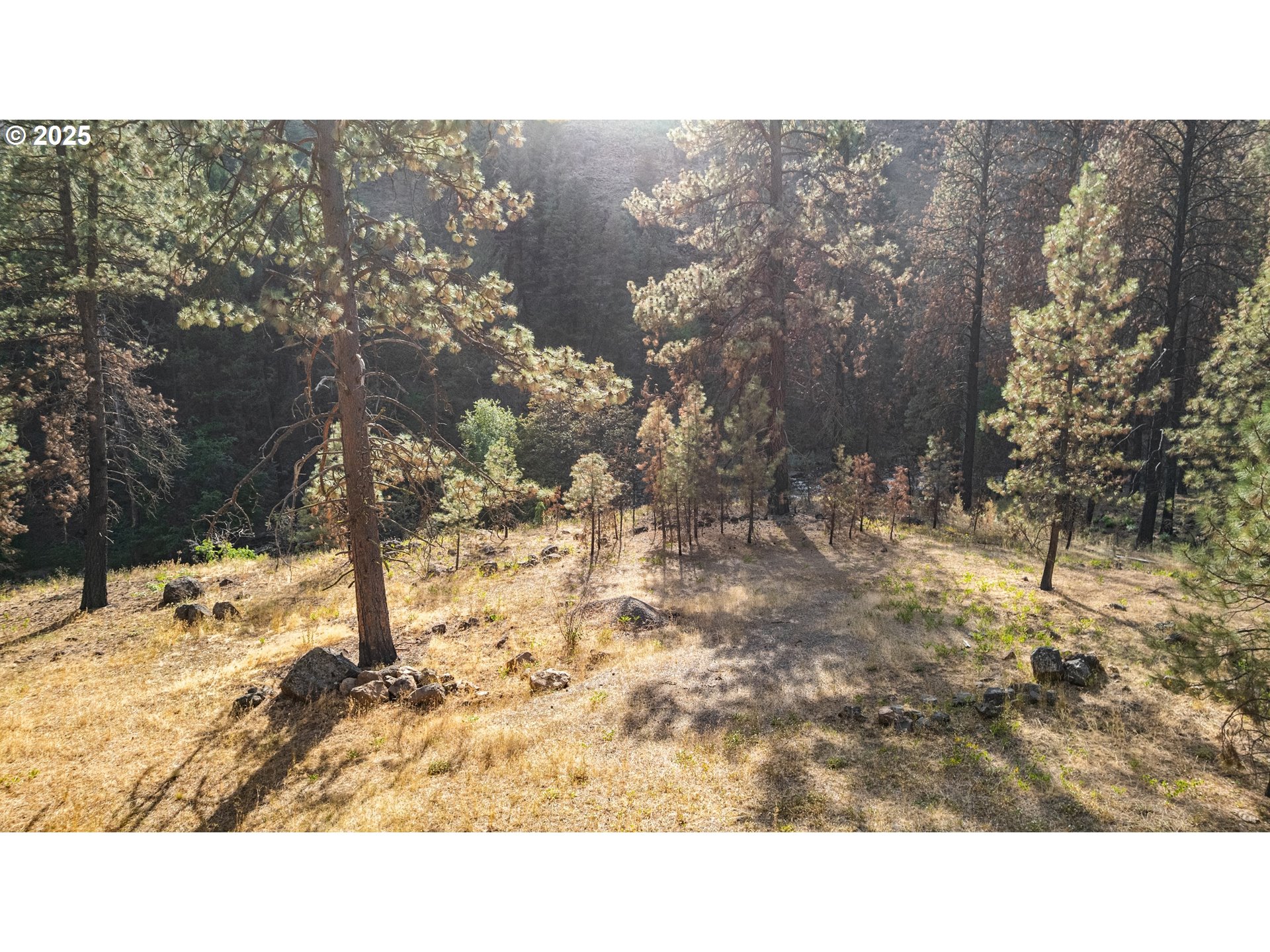 0 Eagle Creek Road Baker City, OR 97814 - Photo 12 of 24 a black and white photo of a house