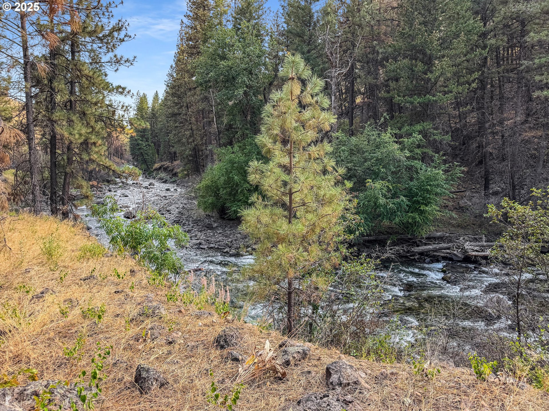 0 Eagle Creek Road Baker City, OR 97814 - Photo 14 of 24 a view of a yard with a tree