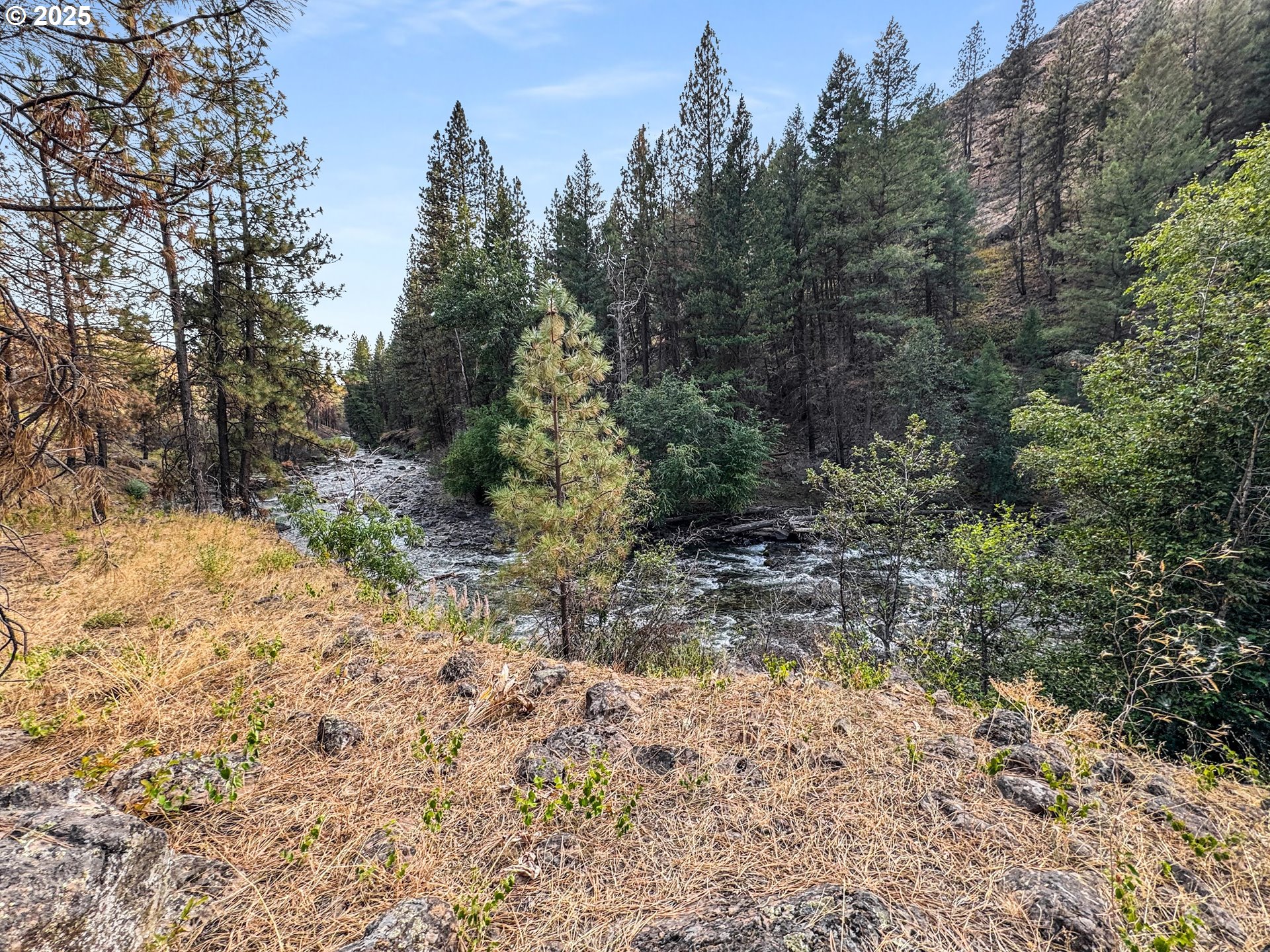 0 Eagle Creek Road Baker City, OR 97814 - Photo 15 of 24 a view of a yard with trees