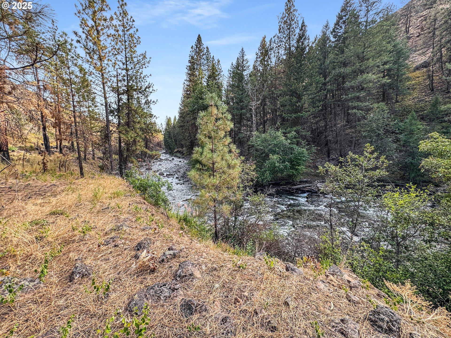 0 Eagle Creek Road Baker City, OR 97814 - Photo 16 of 24 a view of a yard with trees