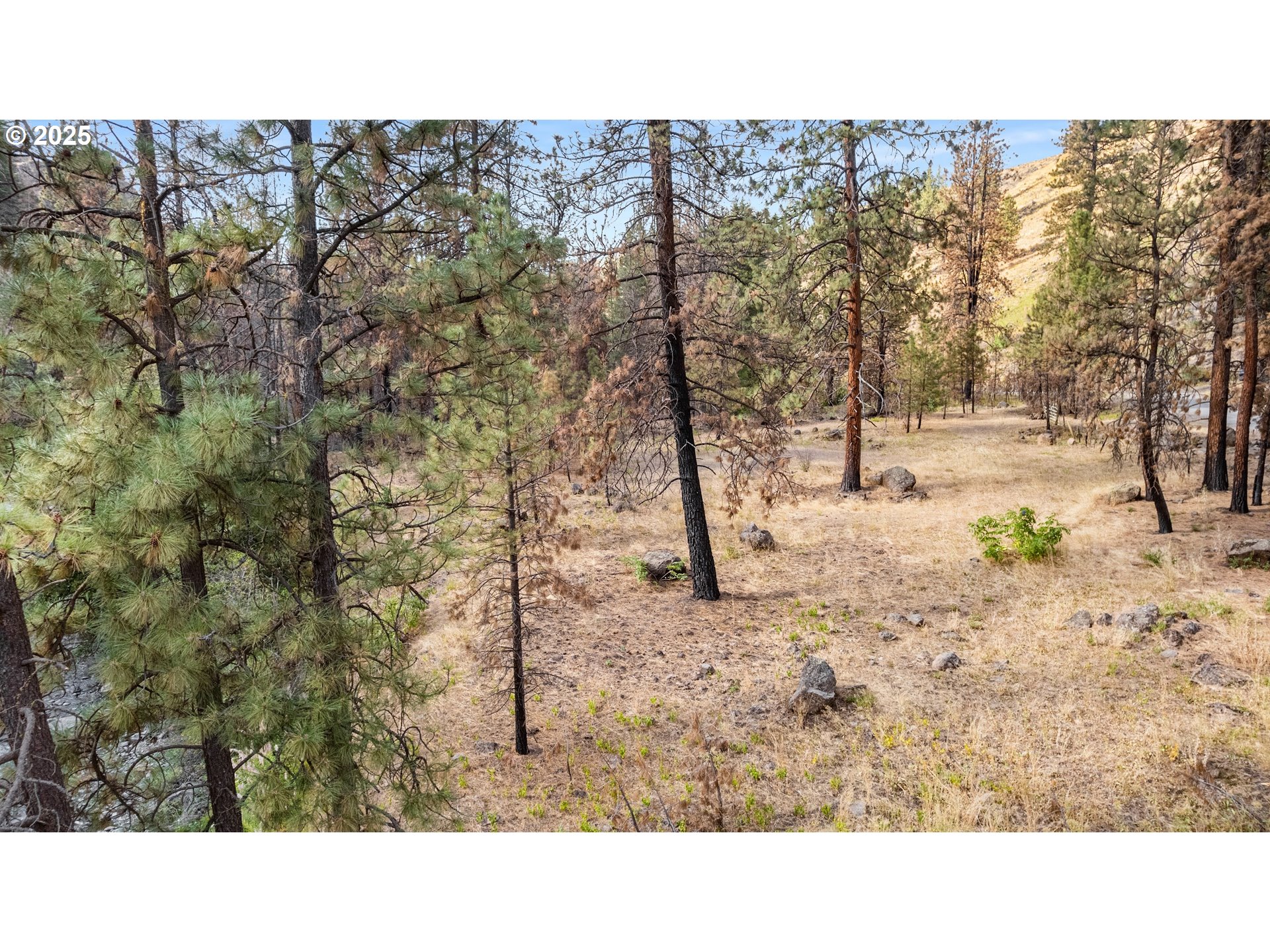 0 Eagle Creek Road Baker City, OR 97814 - Photo 19 of 24 a black and white photo of a house