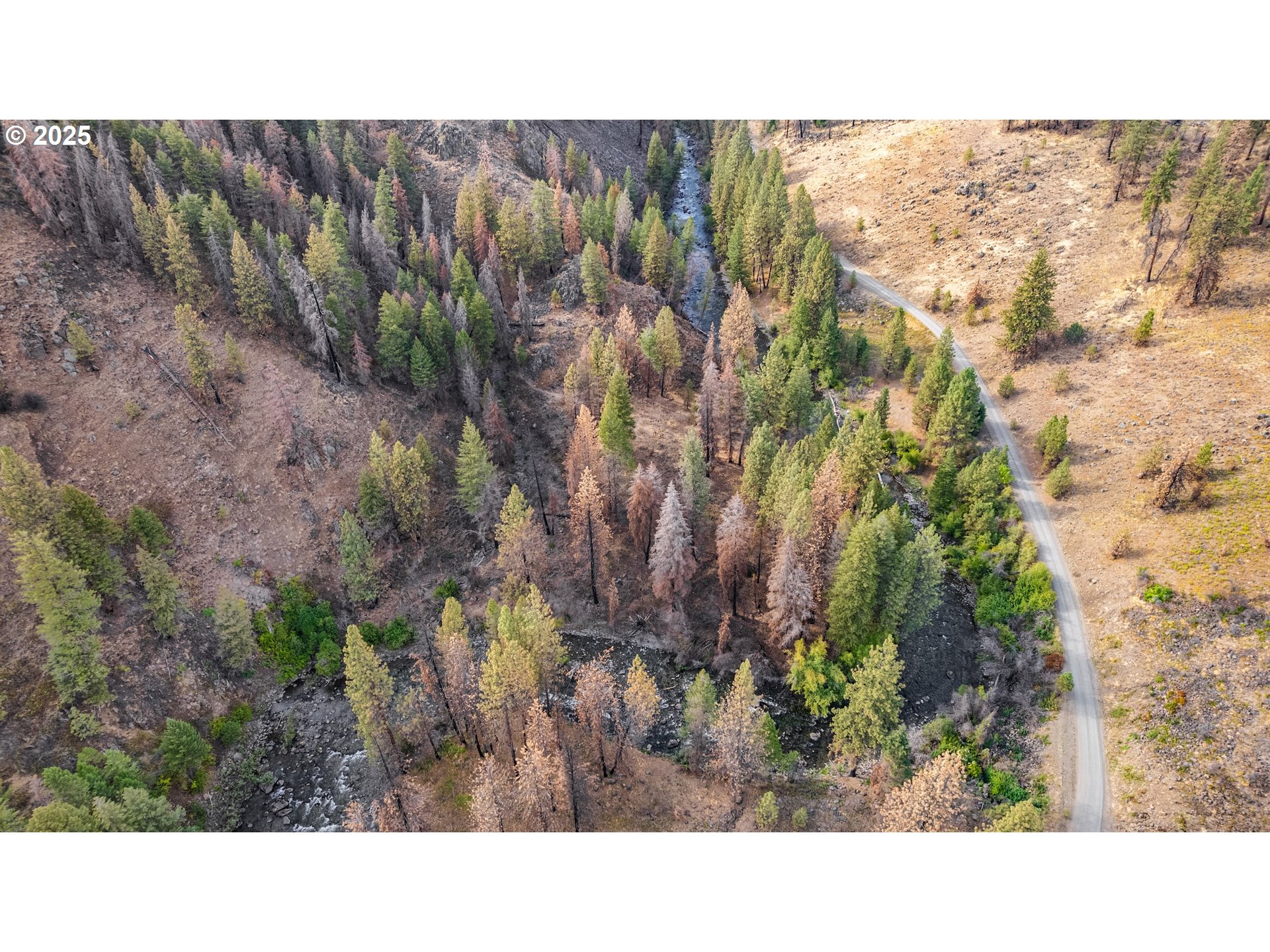 0 Eagle Creek Road Baker City, OR 97814 - Photo 21 of 24 a black and white photo of a park