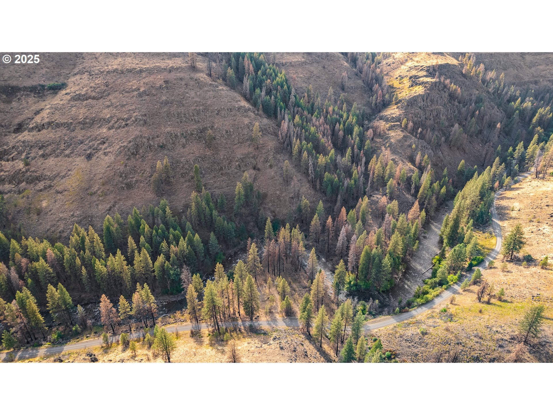 0 Eagle Creek Road Baker City, OR 97814 - Photo 4 of 24 a view of a backyard