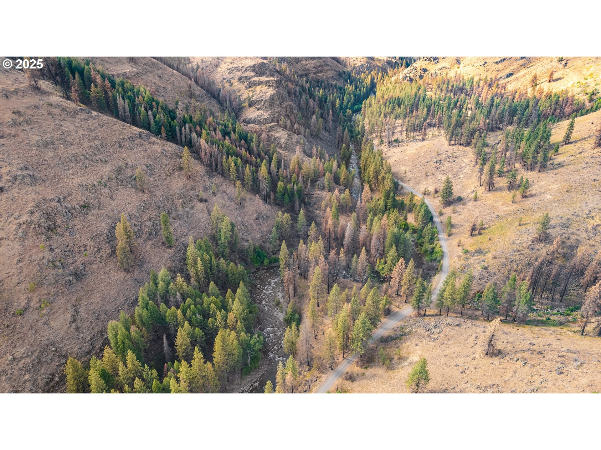 0 Eagle Creek Road Baker City, OR 97814 - Photo 5 of 24 a black and white photo of a park