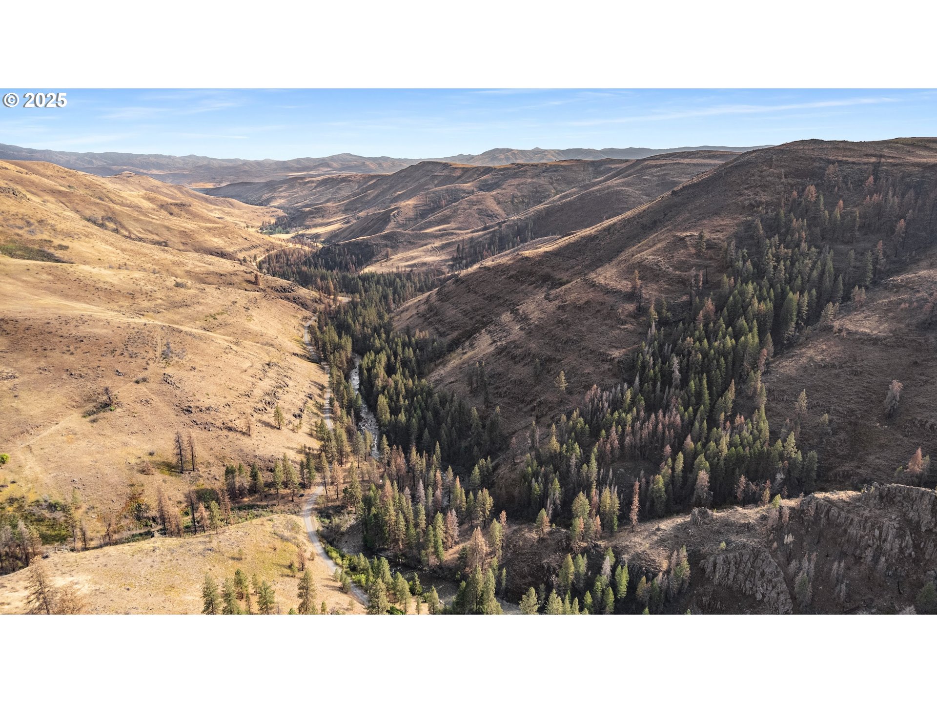 0 Eagle Creek Road Baker City, OR 97814 - Photo 10 of 24 a view of a mountain in the distance