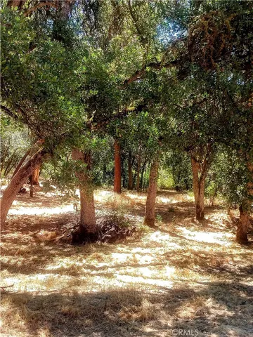 a view of a yard with a tree