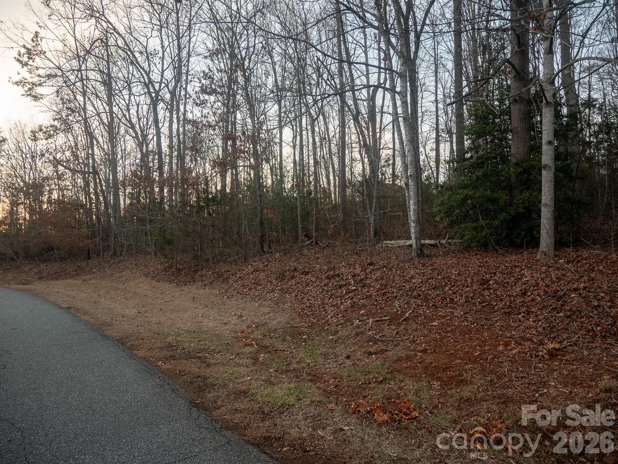 0 Plantation Drive Rutherfordton, NC 28139 - Photo 4 of 6
