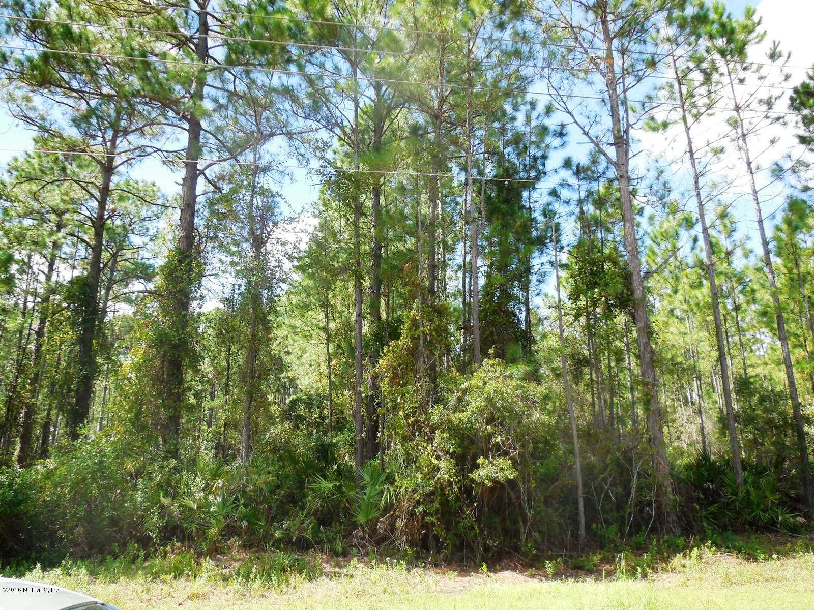 105 Whispering Pines Road Georgetown, FL 32139 - Photo 4 of 5 a view of a yard