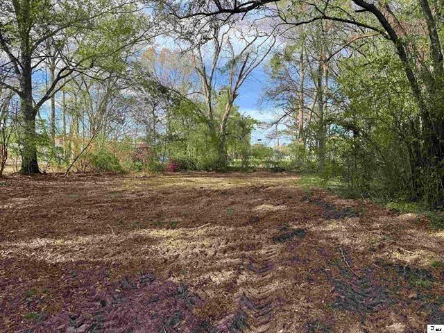 188 Peters Lane Monroe, LA 71202 - Photo 11 of 17