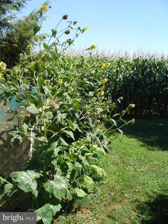 1085 Union School Road Mount Joy, PA 17552 - Photo 9 of 23 Gallery Image 9