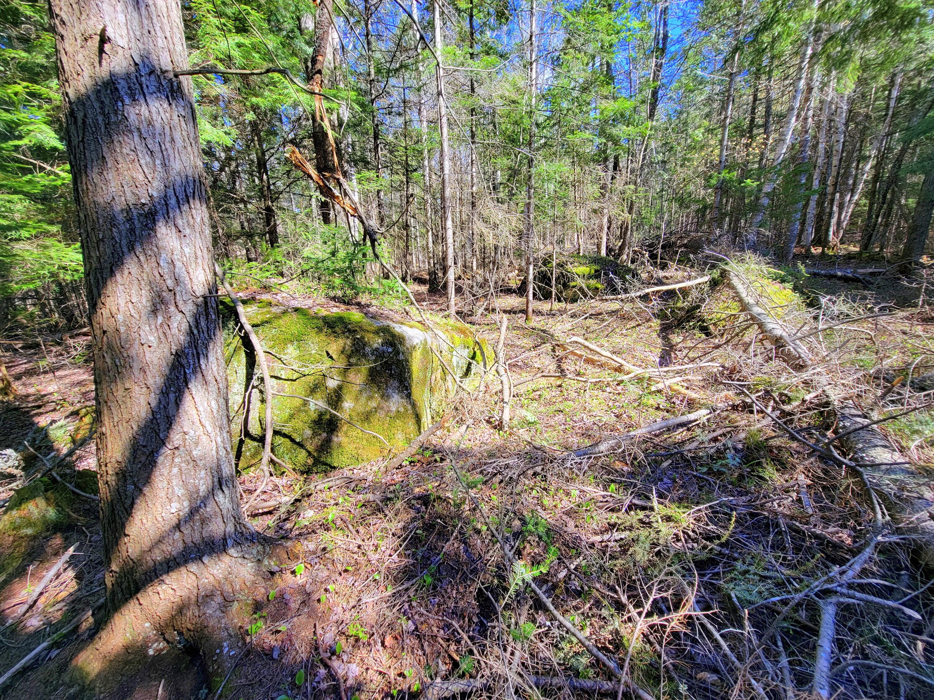 181 Brown Road Farmington, ME 04938 - Photo 103 of 110 Giant Rocks