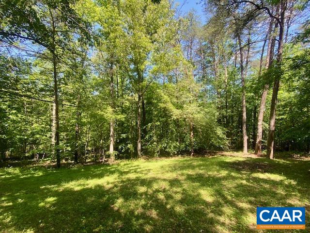 93 West Cedar Drive Ruckersville, VA 22968 - Photo 25 of 36