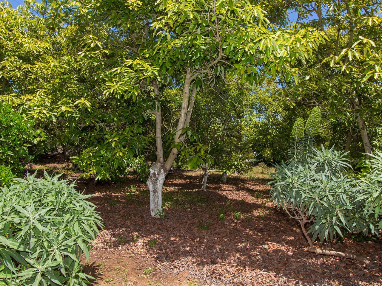 310 Rancho Camino Fallbrook, CA 92028 - Photo 20 of 25 Gallery Image 20