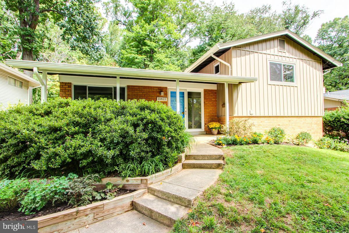 10822 Margate Road Silver Spring, MD 20901 - Photo 1 of 29 a front view of a house with a yard and potted plants