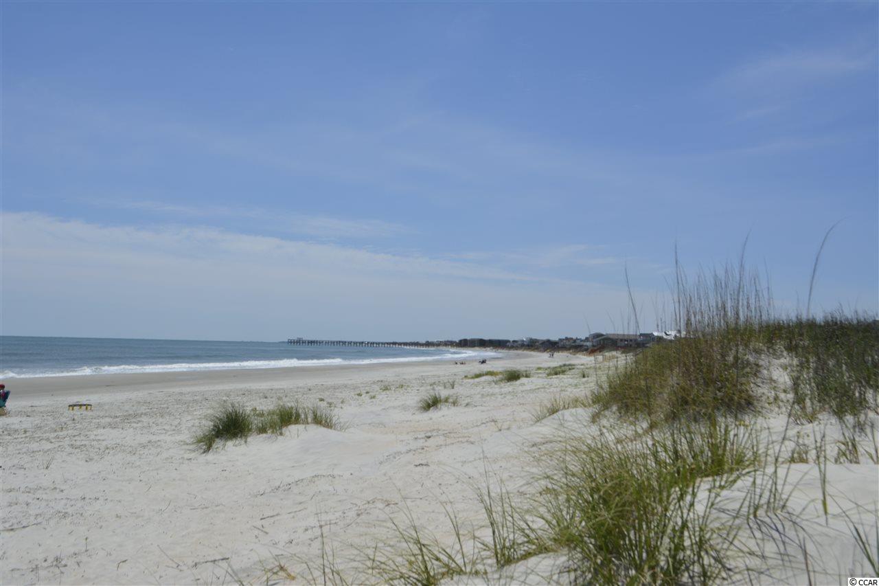 274 Tuckers Road Pawleys Island, SC 29585 - Photo 23 of 28 Gallery Image 23