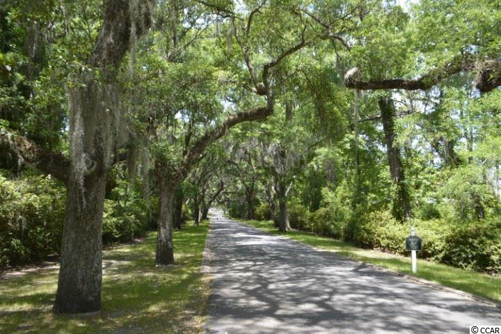 274 Tuckers Road Pawleys Island, SC 29585 - Photo 26 of 28 Gallery Image 26