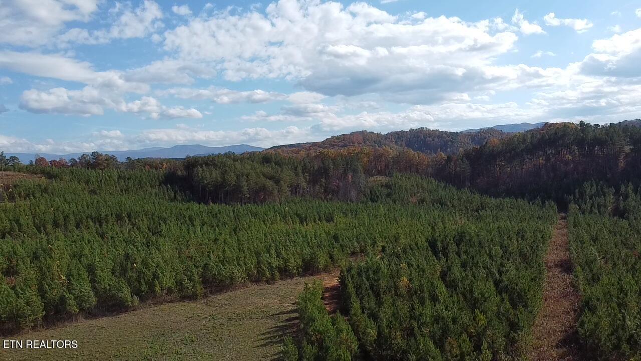 Millsaps Road Vonore, TN 37885 - Photo 8 of 18 2025-11-07-14-23-41-321