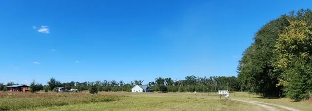 $550,000 | 720 Southwest County Road 300, Mayo, FL 32066