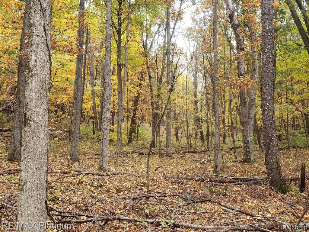 2 Wiggins Road Howell, MI 48855 - Photo 8 of 21