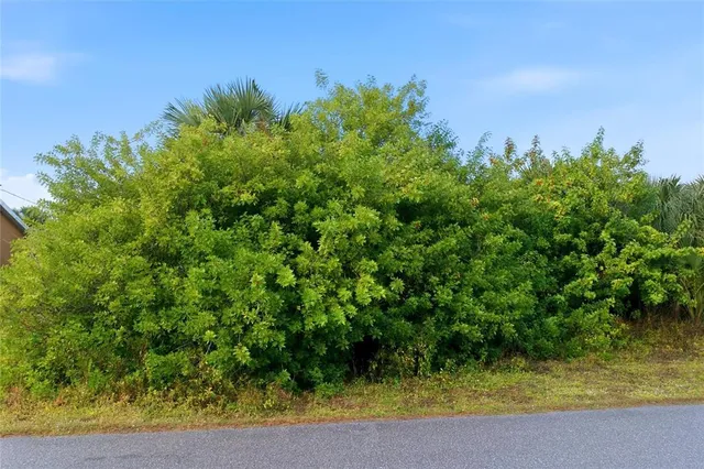 a view of a yard with plants and a bench