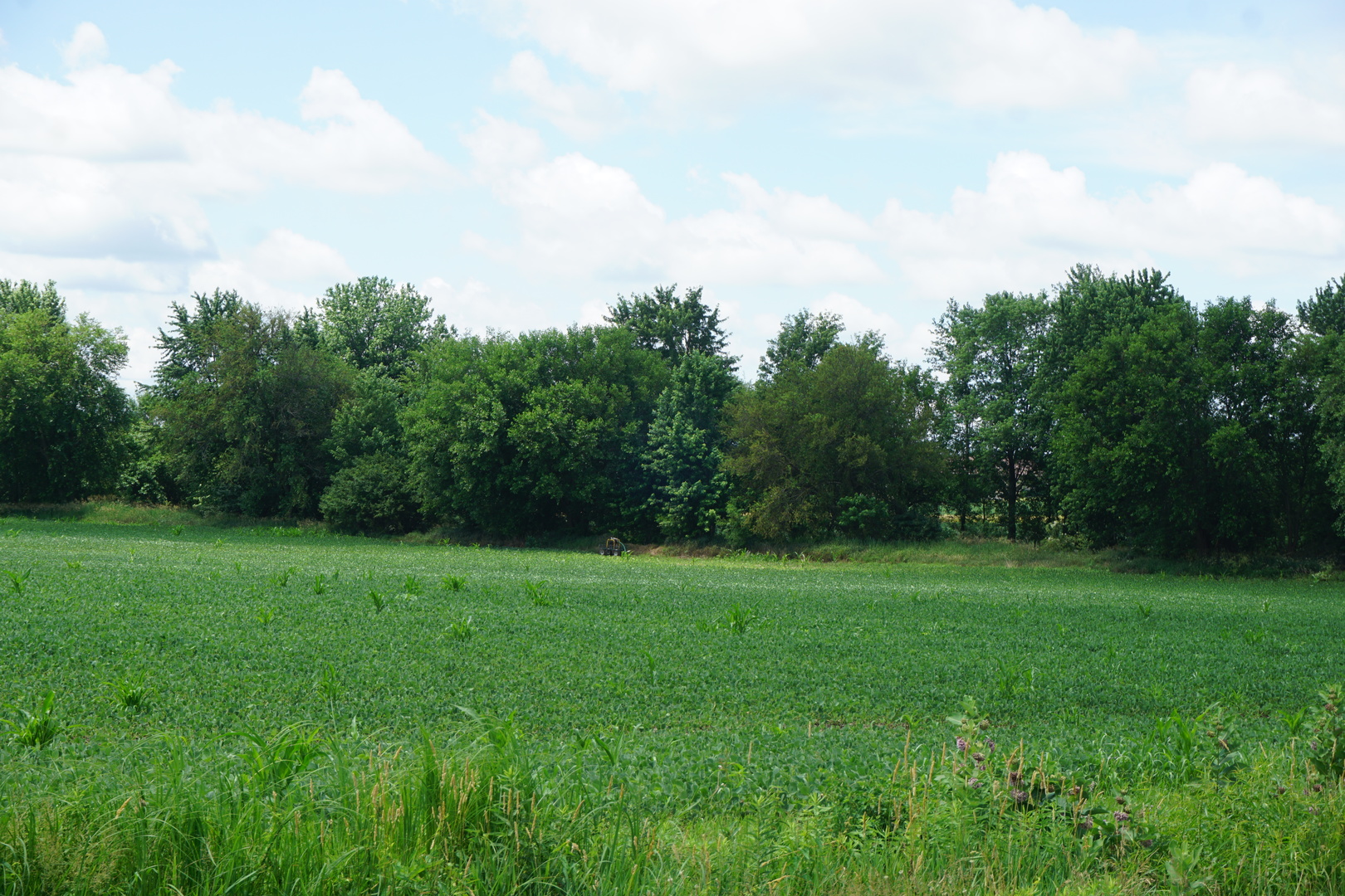 11338 East 9000 Road Grant Park, IL 60940 - Photo 4 of 7 a view of a grassy field with trees