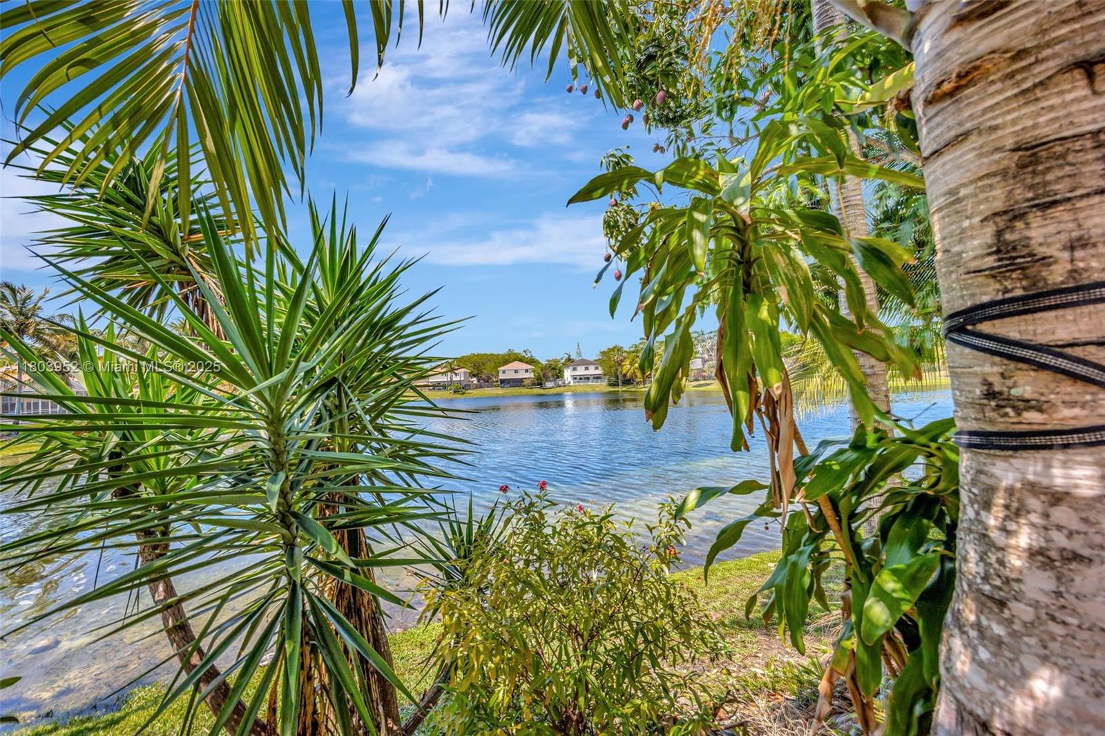 9053 Southwest 214th Street Cutler Bay, FL 33189 - Photo 46 of 53