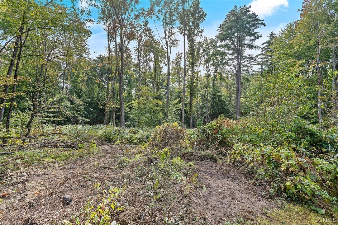 199 Lower Road Constantia, NY 13044 - Photo 36 of 49