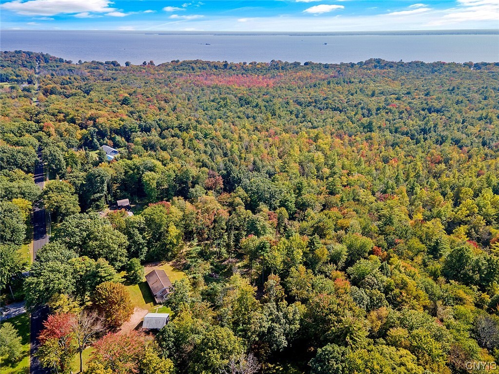 199 Lower Road Constantia, NY 13044 - Photo 46 of 49