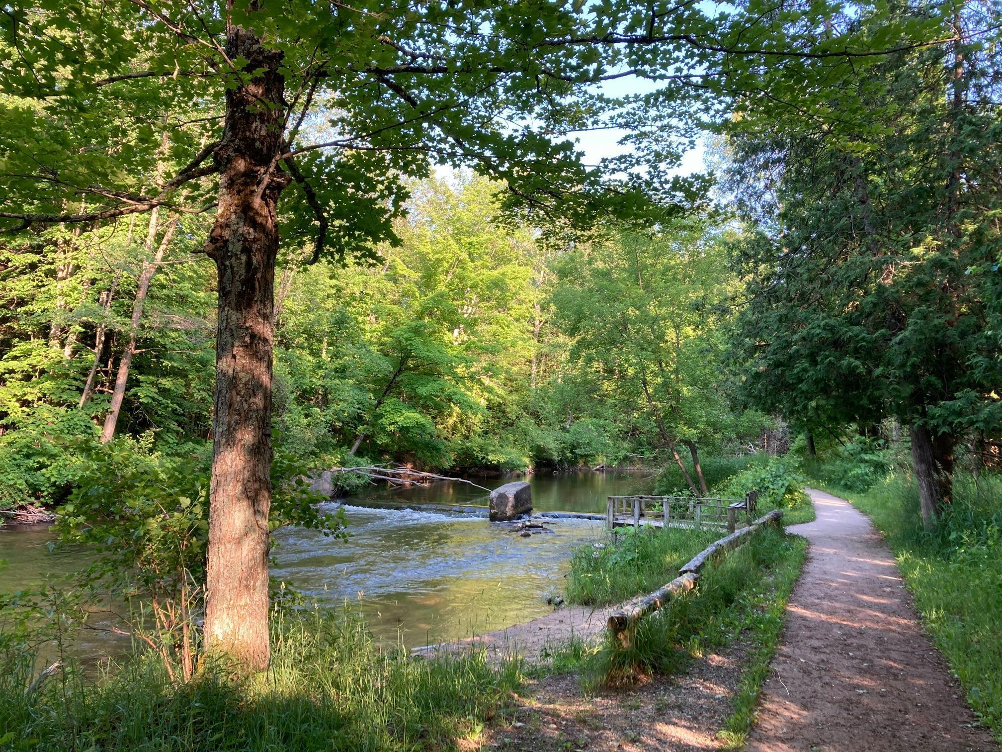 Coates Highway Brethren, MI 49619 - Photo 11 of 15 Spirit of the Woods Bear Creek