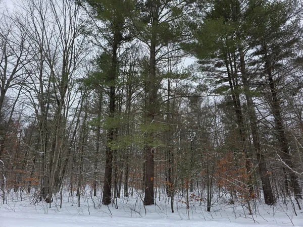 $59,000 | Coates Highway, Brethren, MI 49619
