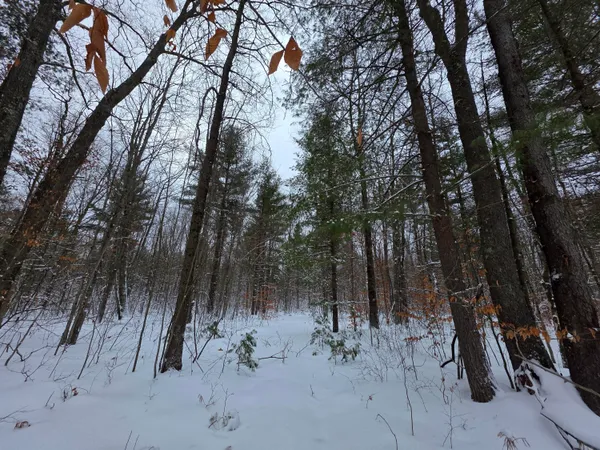 $59,000 | Coates Highway, Brethren, MI 49619