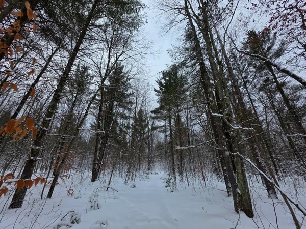 $59,000 | Coates Highway, Brethren, MI 49619