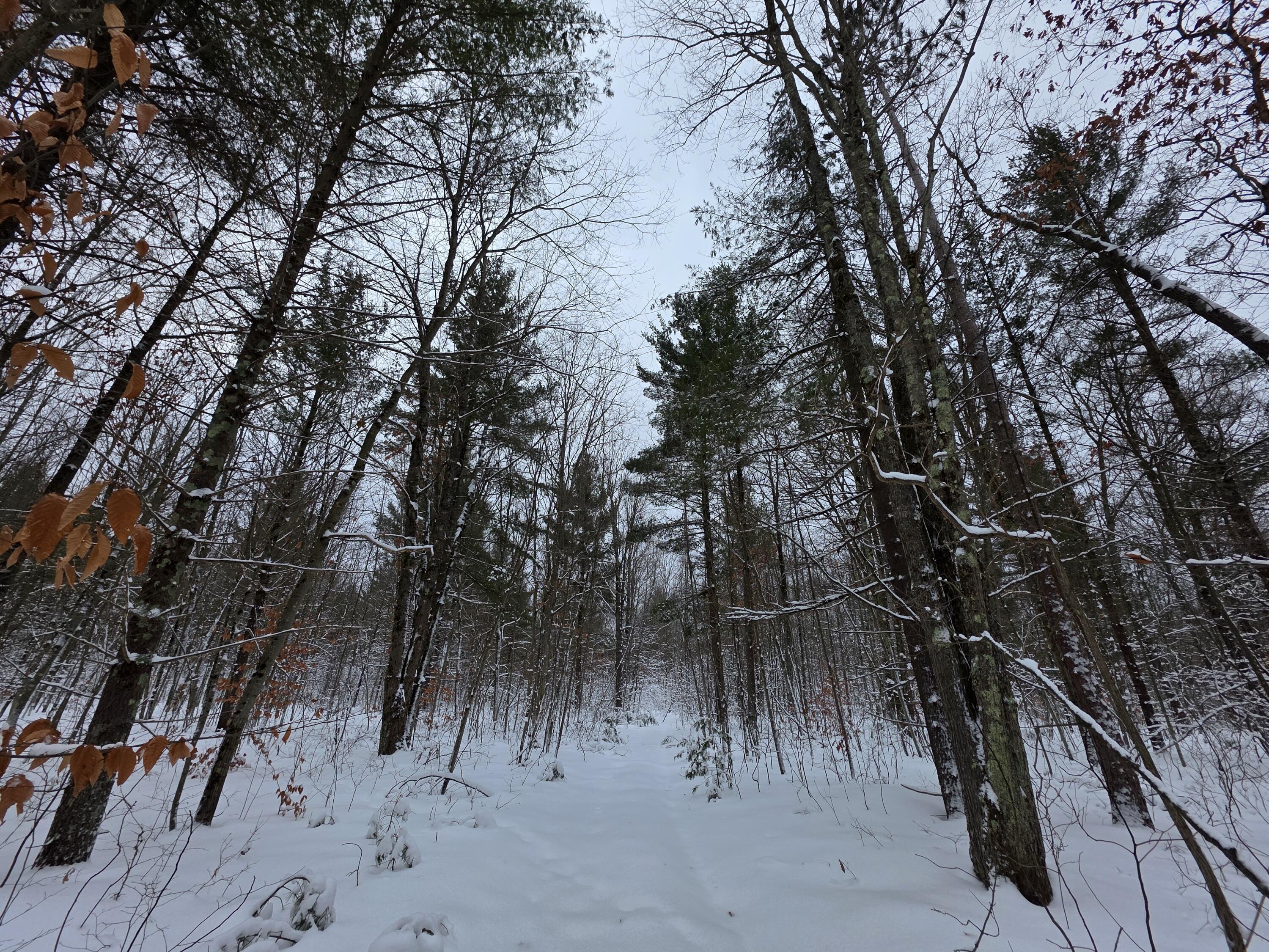 Coates Highway Brethren, MI 49619 - Photo 4 of 15 20251230_113029_resized