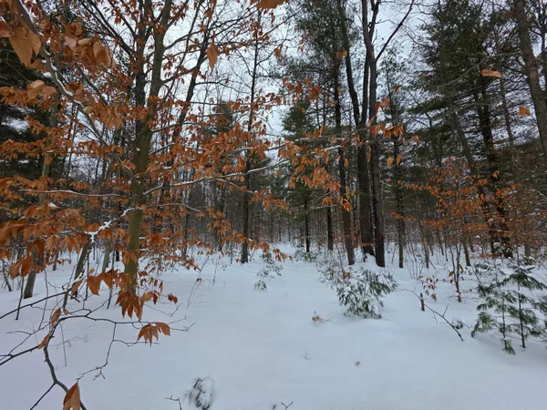 $59,000 | Coates Highway, Brethren, MI 49619