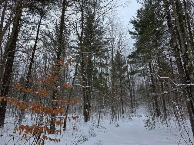 $78,000 | Coates Highway, Brethren, MI 49619