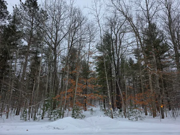 $59,000 | Coates Highway, Brethren, MI 49619