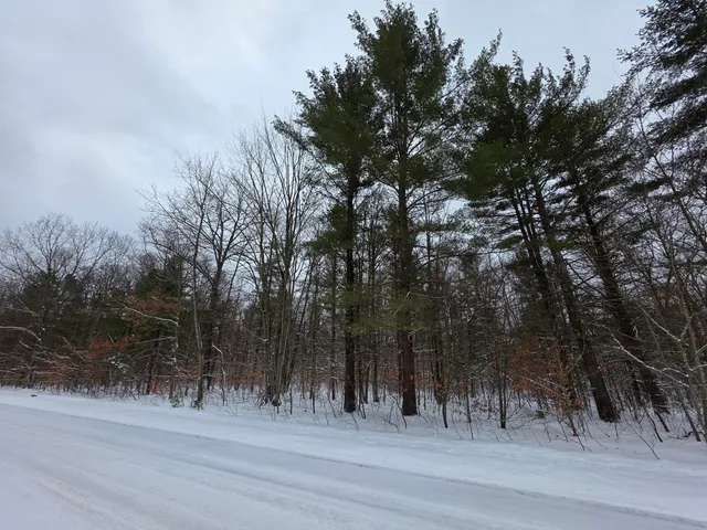 $78,000 | Coates Highway, Brethren, MI 49619